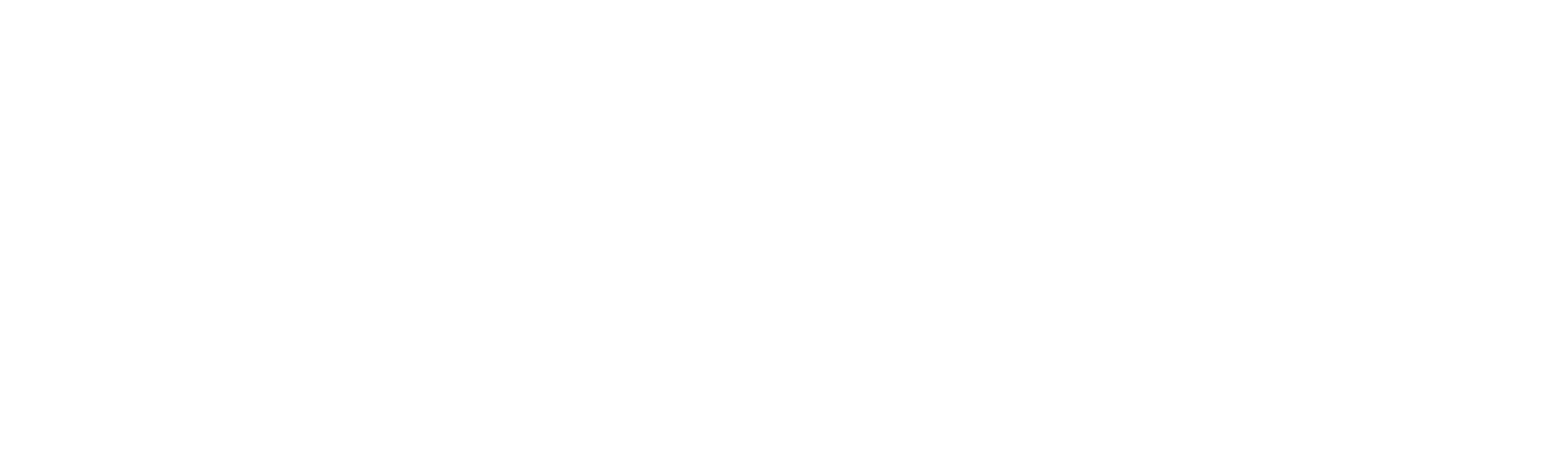 Palina Immigration