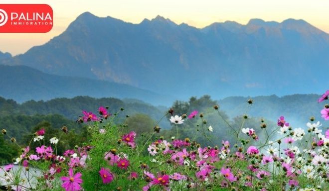 Yukon sets 2026 nomination numbers, priorities, & intake periods