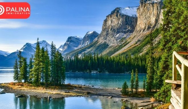 Alberta sends nearly 900 invitations in new AAIP draws