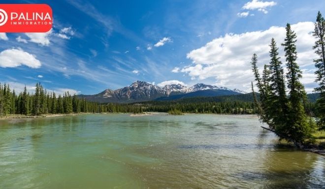 Canada releases the latest immigration application update