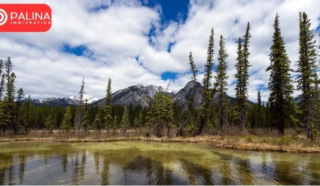 Canada updates wait times for temporary residence applications